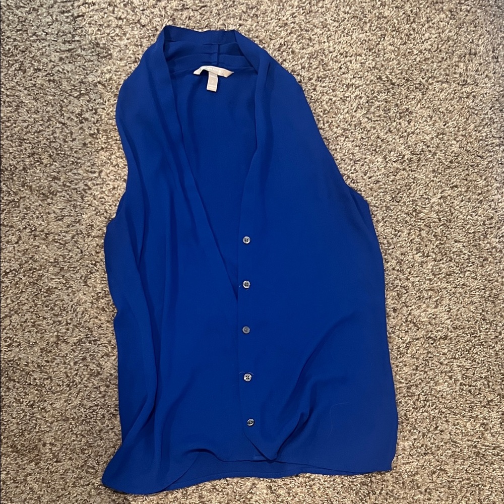 Blue Sleeveless Button-Up Top